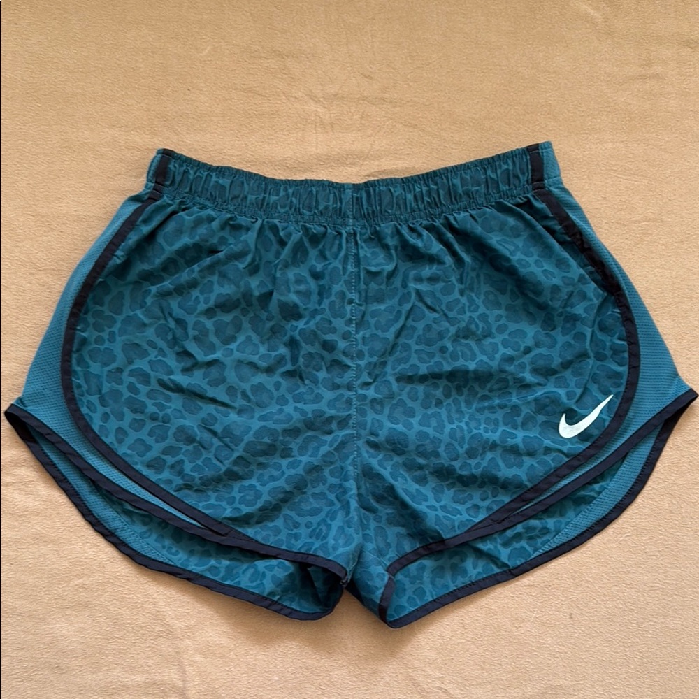 Nike Blue and Green Athletic Shorts Dri-FIT Performance